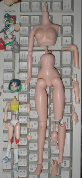 �~�[�b�g�h�[������i